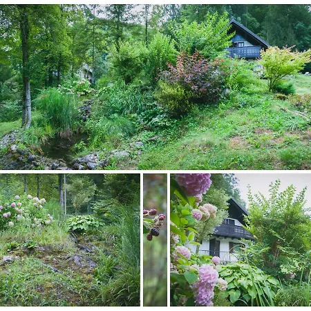 Naturalina House * Gorenja Trebusa